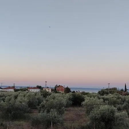 Vakantiehuis Olive Tree House *