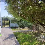 Olive Tree House * 索佐波尔