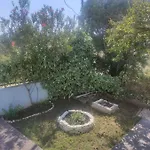 度假居 Olive Tree House *