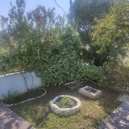 Casa vacanze Olive Tree House *