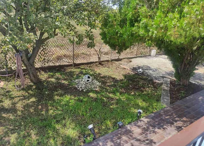 Olive Tree House Sozopoli