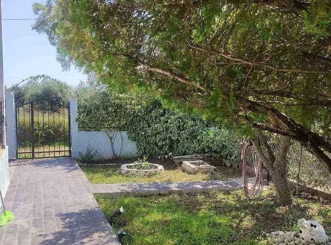 Olive Tree House * Sozopoli